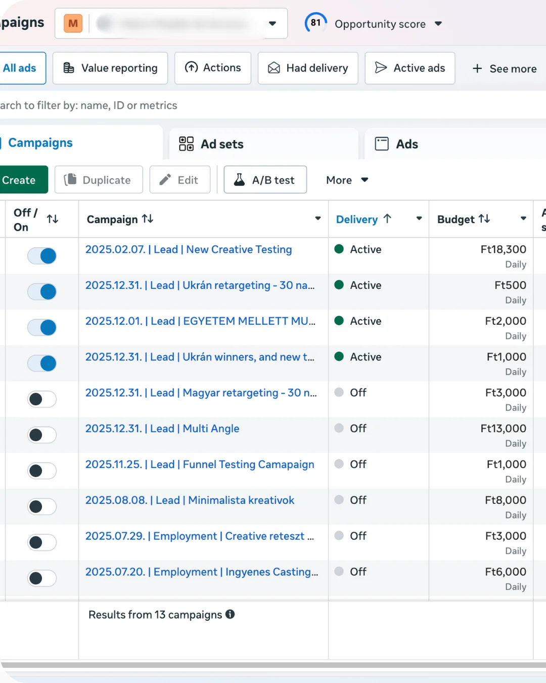 Paid Ads dashboard showing Meta and Google campaign results